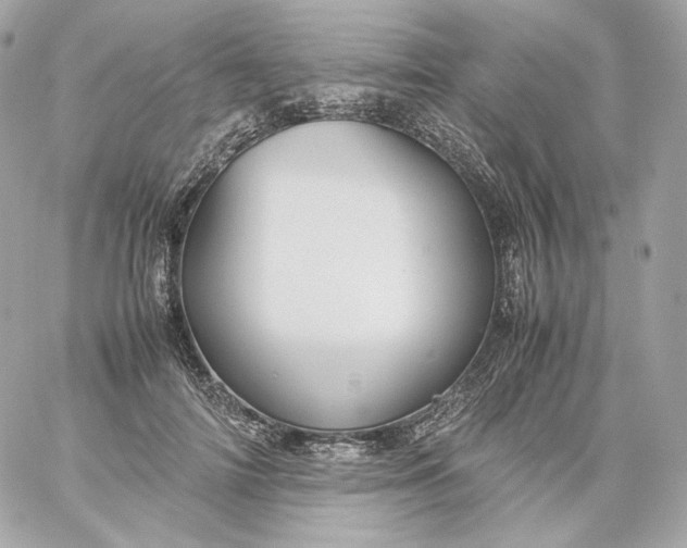 X0000060260698200511112021