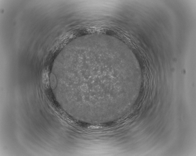 X0000060260699200511112021