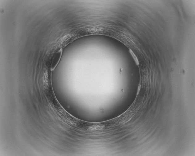 X0000060260700200511112021