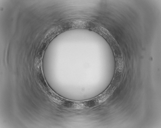 X0000060260701200511112021