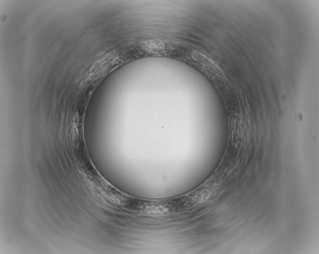 X0000060260702200511112021