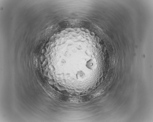 X0000060260703200511112021