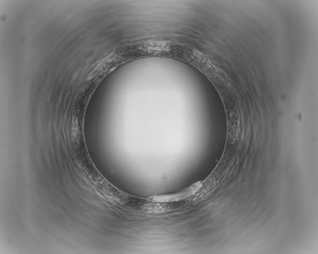 X0000060260704200511112021