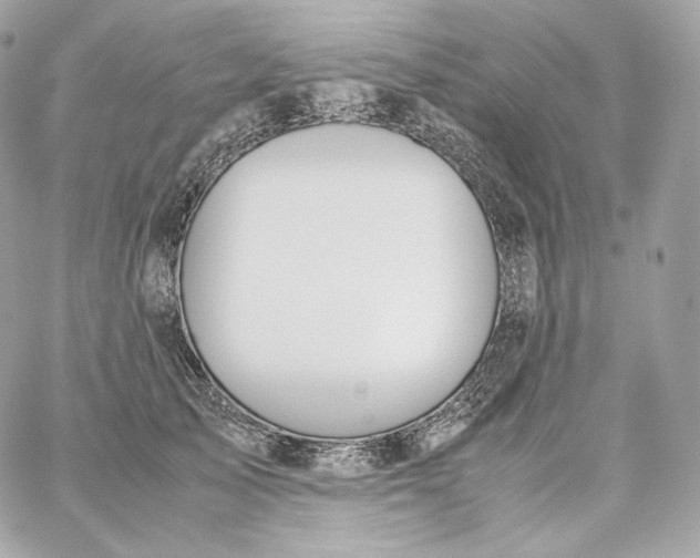 X0000060260705200511112021