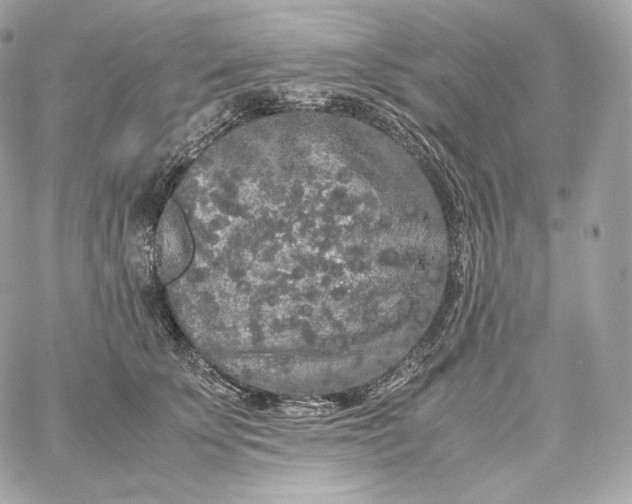 X0000060260707200511112021