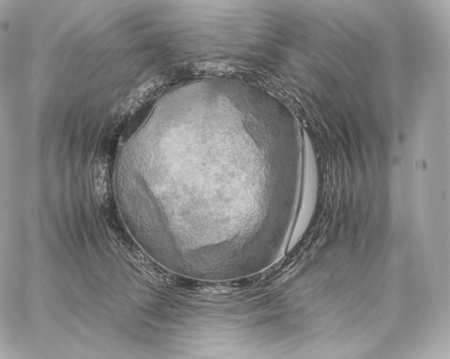 X0000060260708200511112021