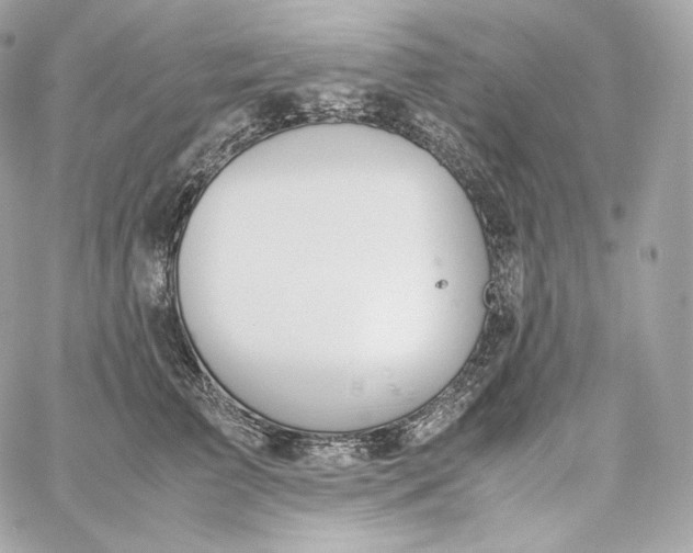 X0000060260709200511112021