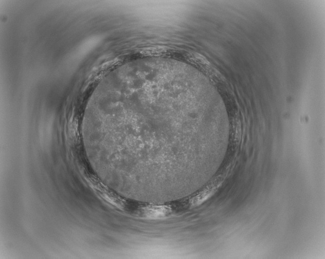 X0000060260711200511112021