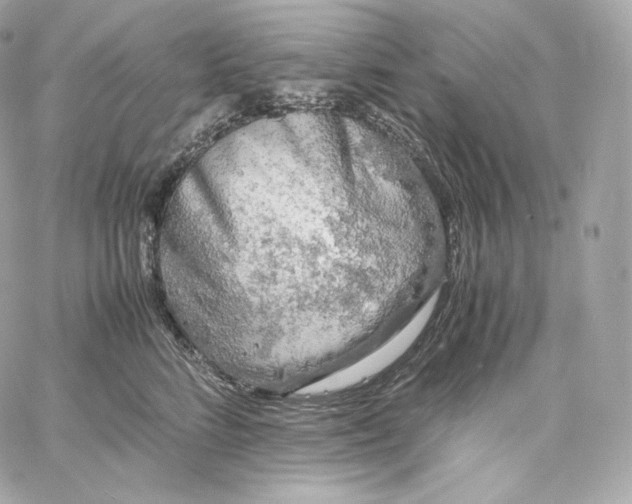 X0000060260712200511112021