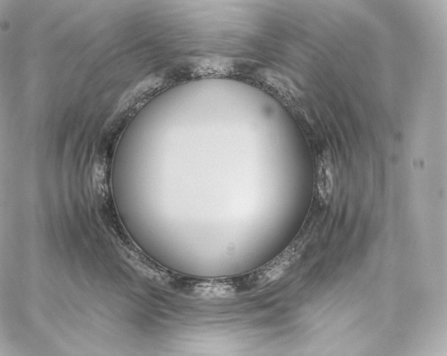 X0000060260714200511112021