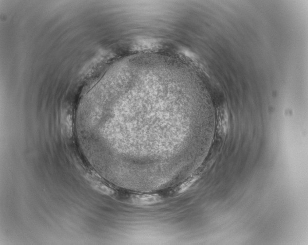 X0000060260716200511112021