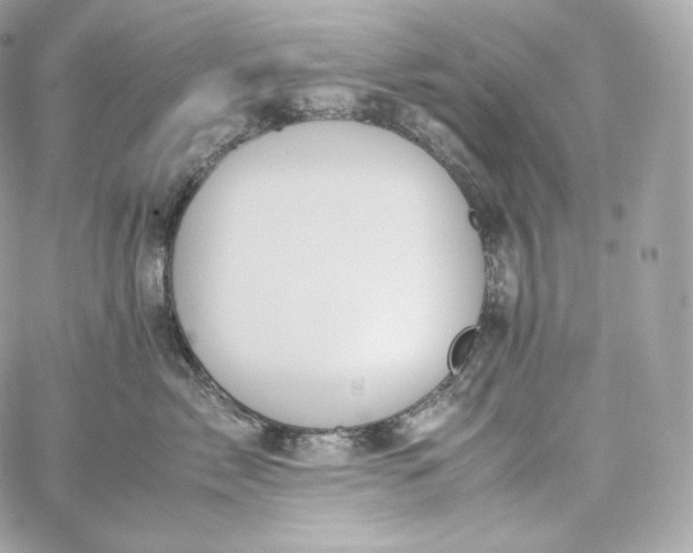 X0000060260717200511112021