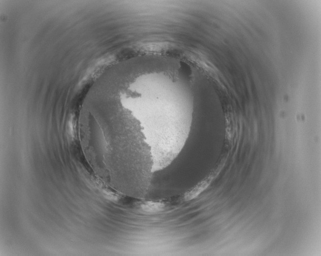 X0000060260718200511112021