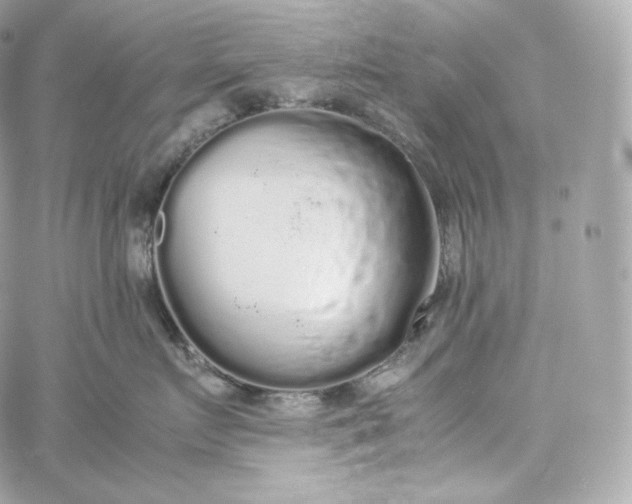 X0000060260719200511112021