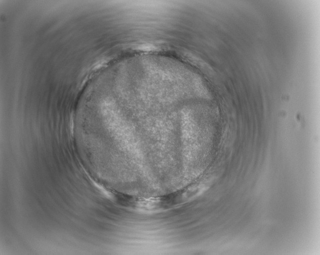 X0000060260720200511112021