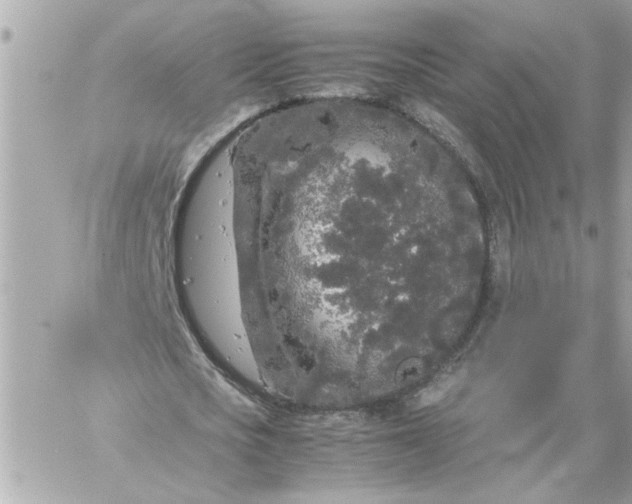 X0000060260721200511112020