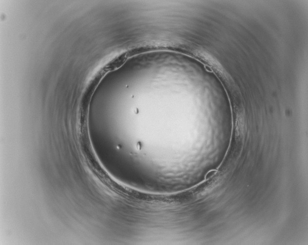 X0000060260722200511112020