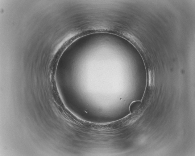 X0000060260723200511112020