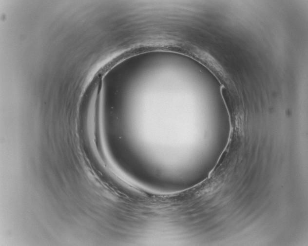 X0000060260724200511112020