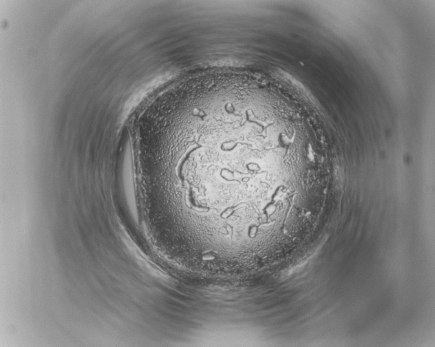 X0000060260725200511112020