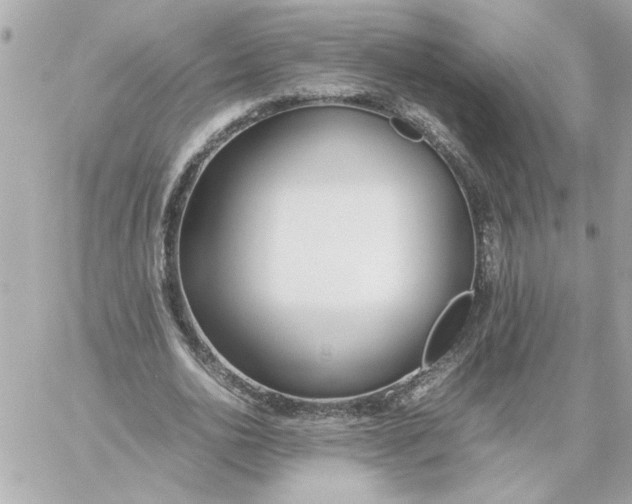 X0000060260726200511112020