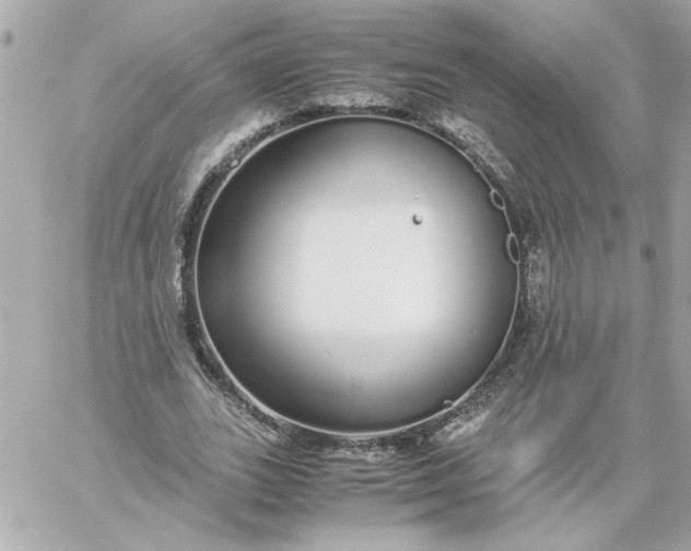 X0000060260727200511112020