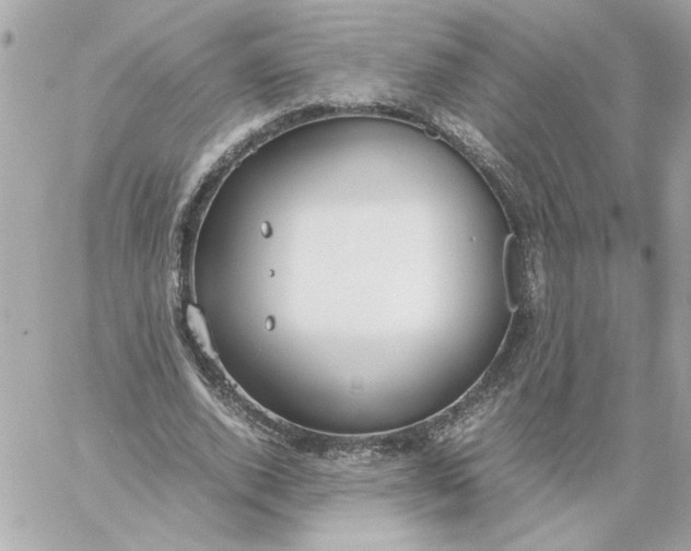 X0000060260728200511112020