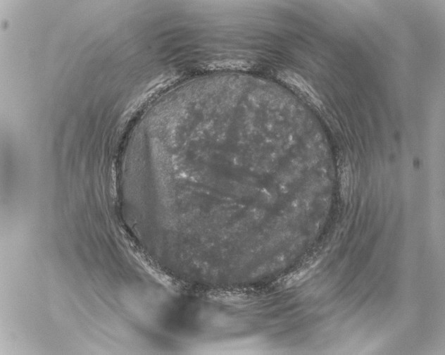 X0000060260729200511112020