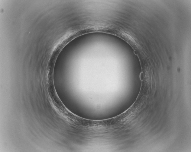 X0000060260730200511112020