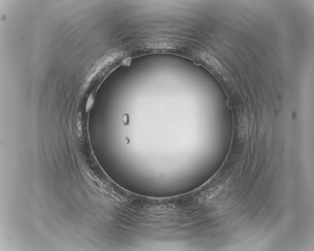 X0000060260731200511112020