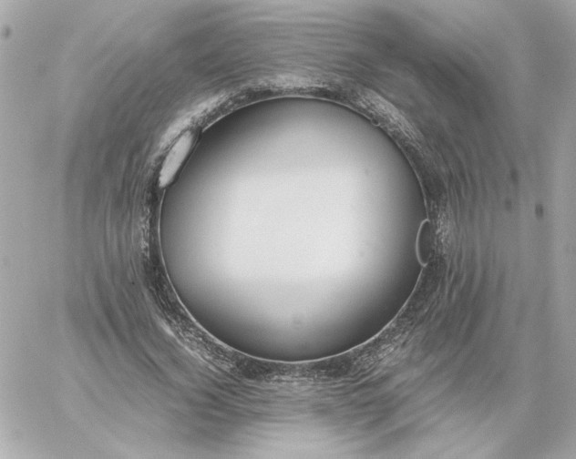 X0000060260732200511112020