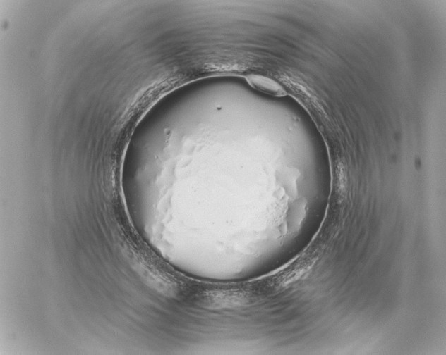 X0000060260733200511112020