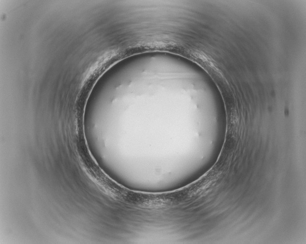 X0000060260734200511112020