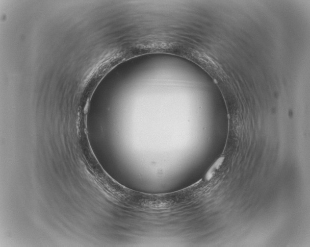 X0000060260735200511112020