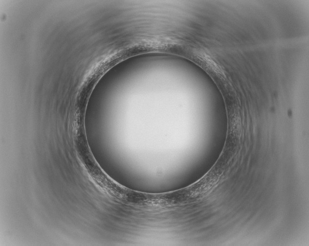 X0000060260736200511112020