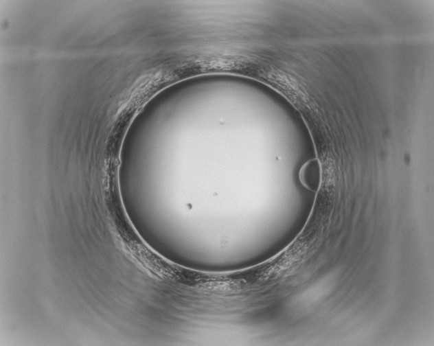 X0000060260738200511112020