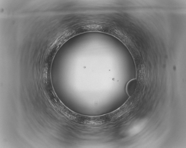 X0000060260739200511112020