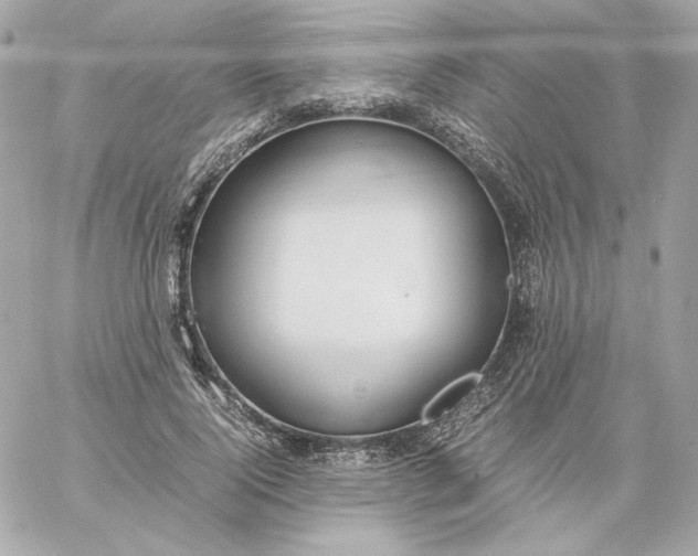 X0000060260740200511112020