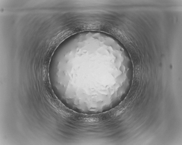 X0000060260741200511112020