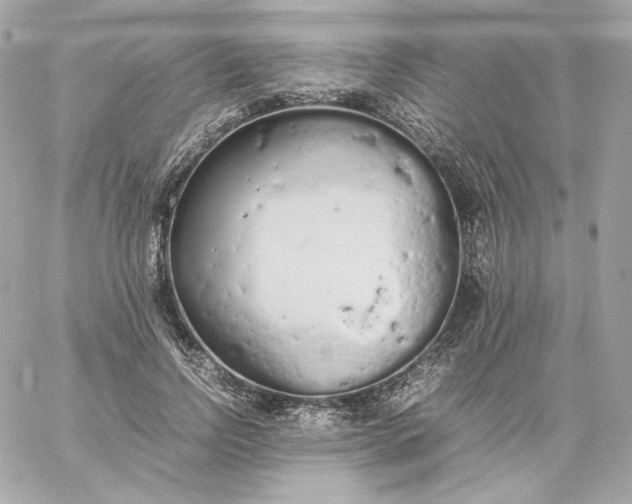 X0000060260742200511112021