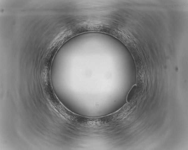 X0000060260744200511112021