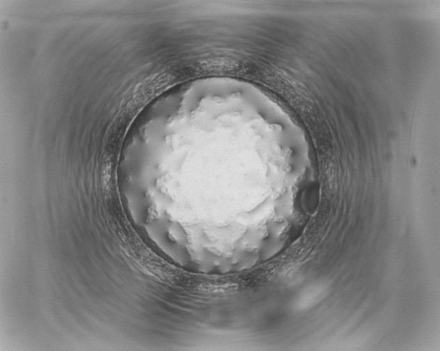 X0000060260745200511112021