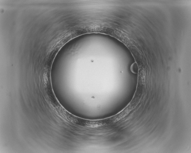 X0000060260746200511112021