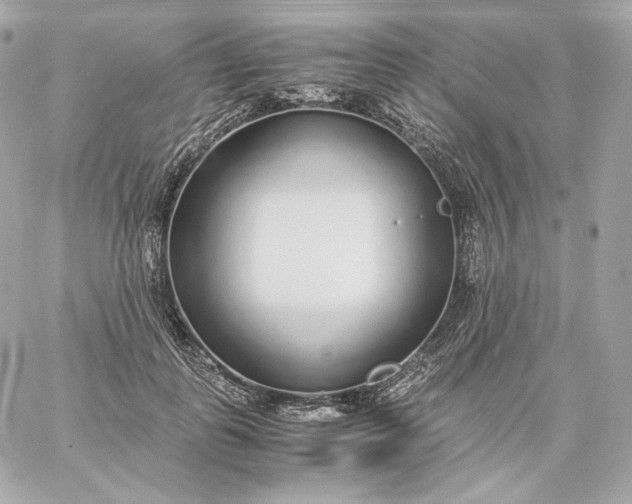 X0000060260747200511112021