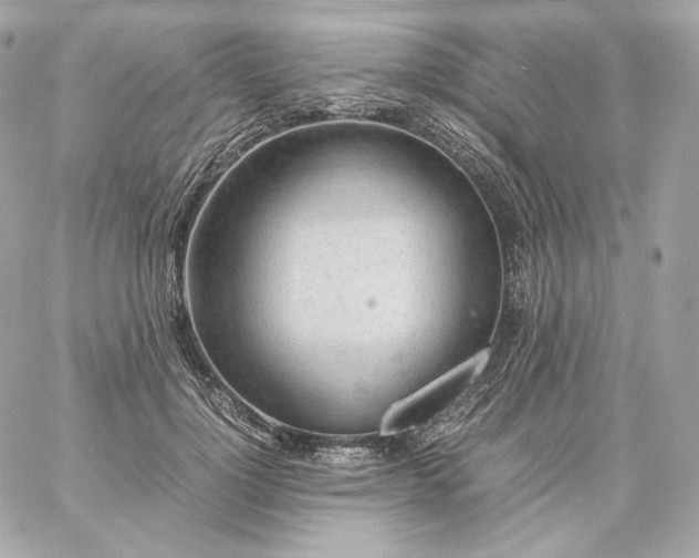 X0000060260748200511112021