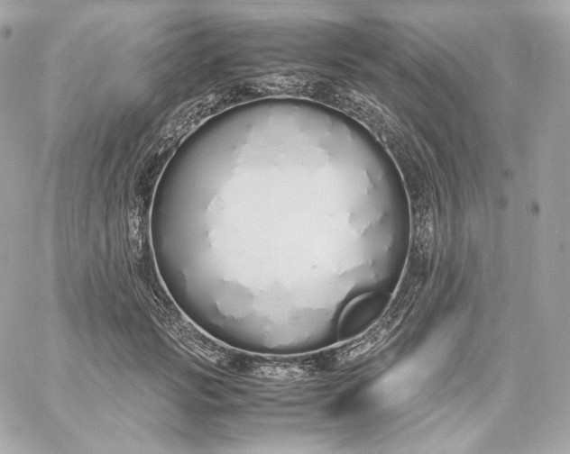 X0000060260749200511112021