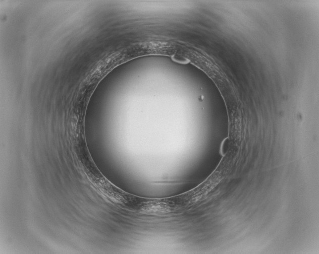 X0000060260750200511112021