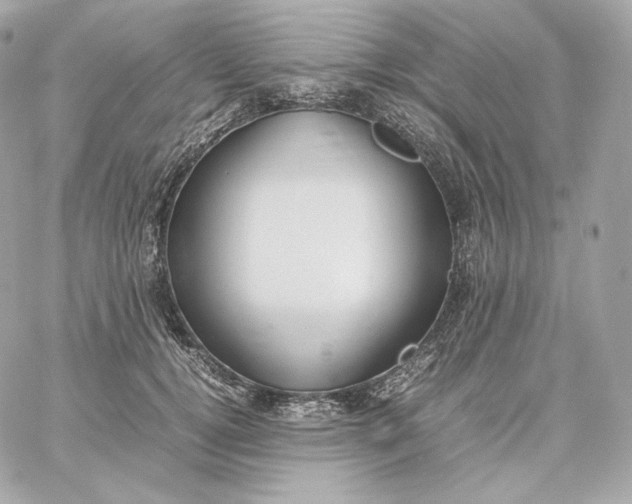 X0000060260752200511112021