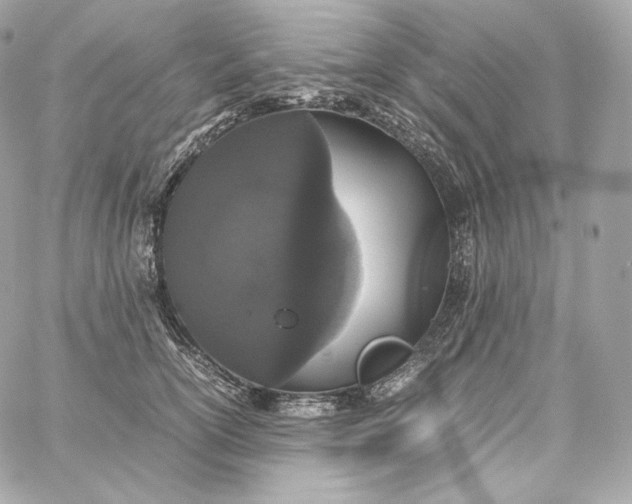 X0000060260754200511112021