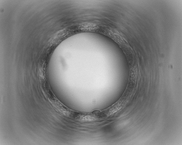 X0000060260755200511112021